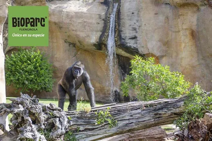 アパート Paseo Maritimo Boliches.