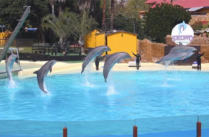 Paseo Maritimo Boliches. Fuengirola