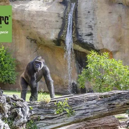 아파트 Paseo Maritimo Boliches.